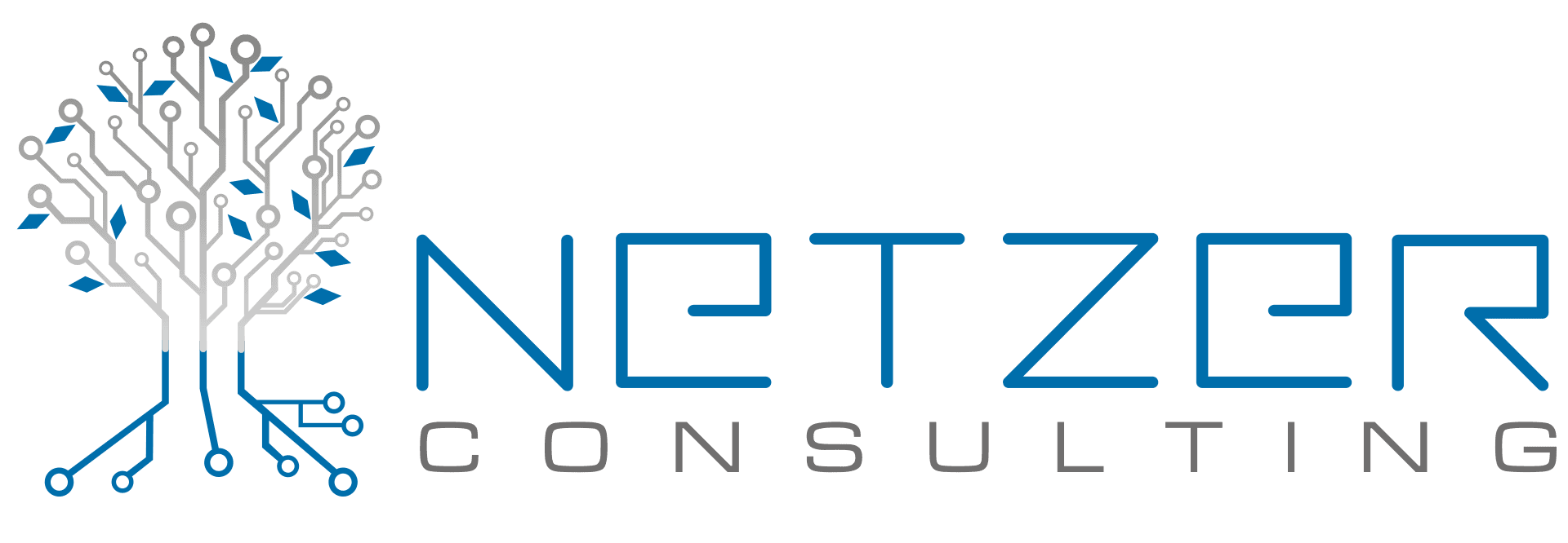 Netzer Consulting