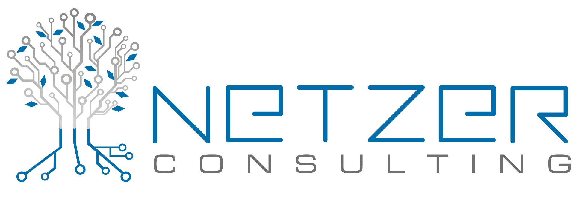 Netzer Consulting